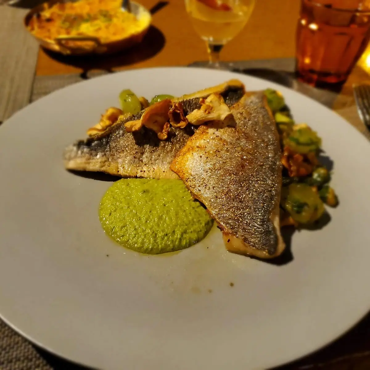 Mediterranean Sea Bass