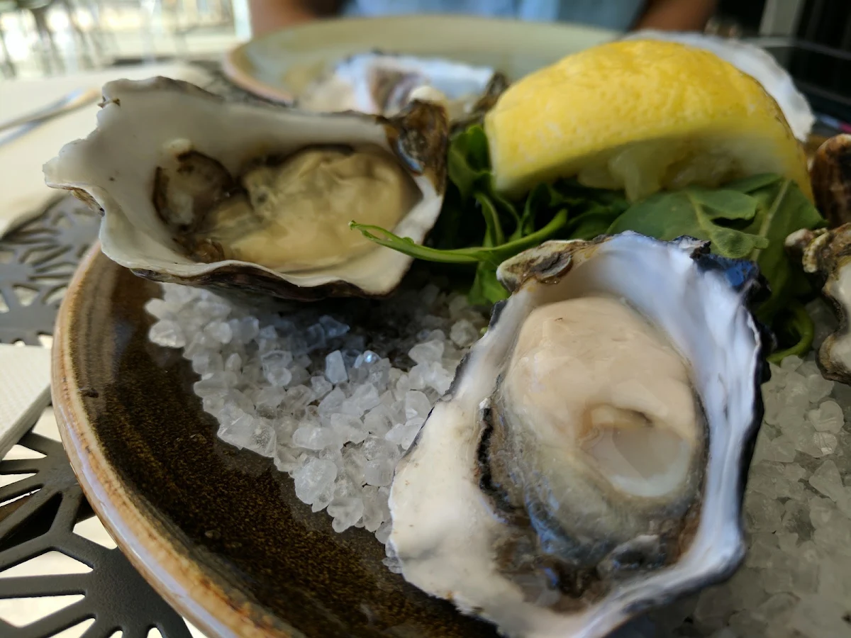 Oysters Natural, Mr Hobson