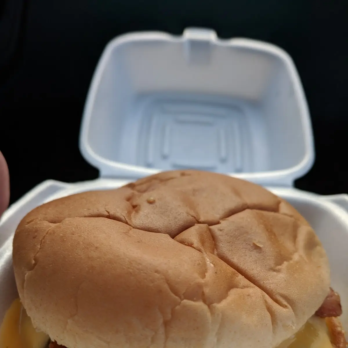 Double Bacon Cheeseburger