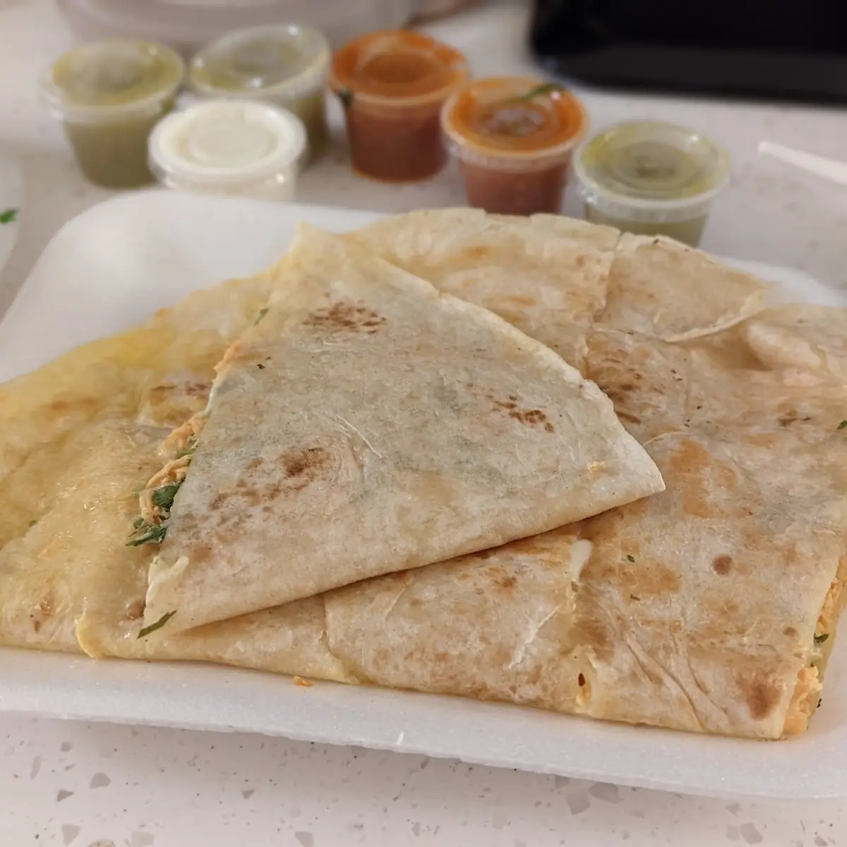 Big Chicken Quesadilla
