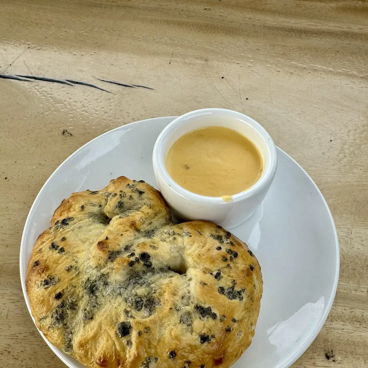 Blueberry Muffin