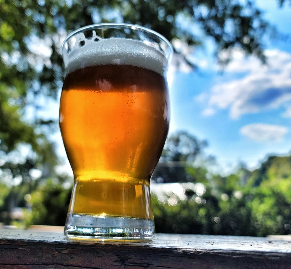 India Pale Lager