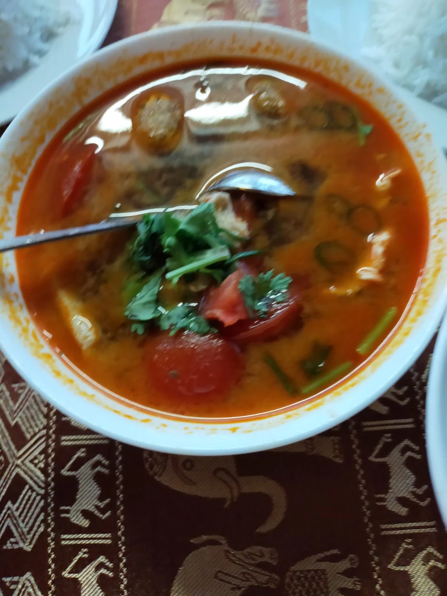 Tom Yum Chicken, Thai Esarn @ Bayswater