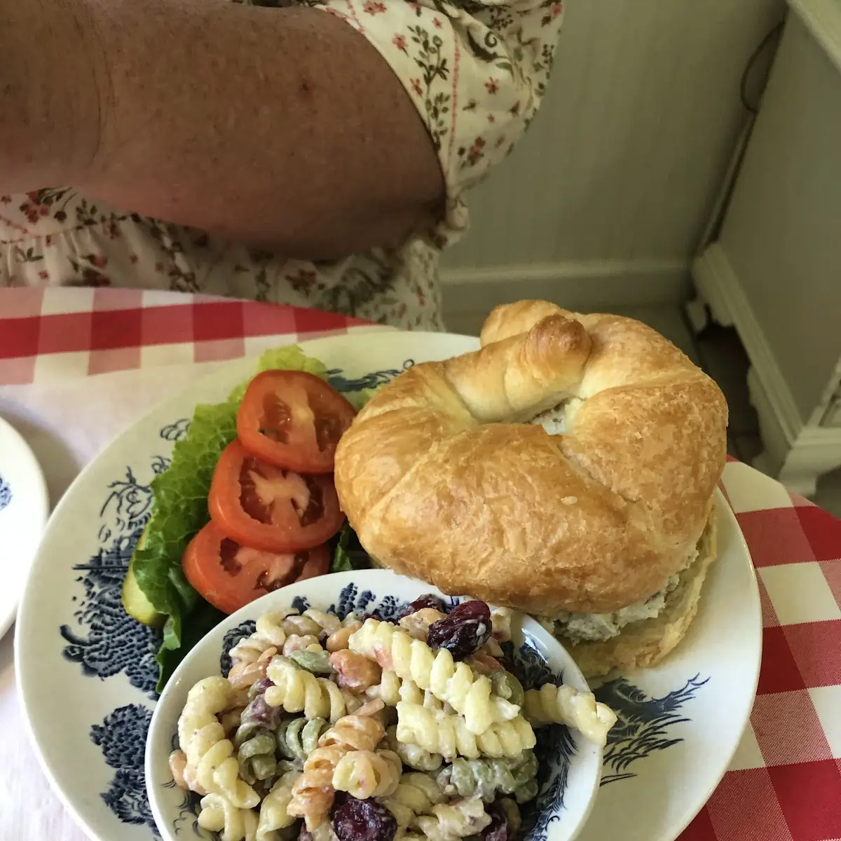Chicken Salad & Pasta Salad