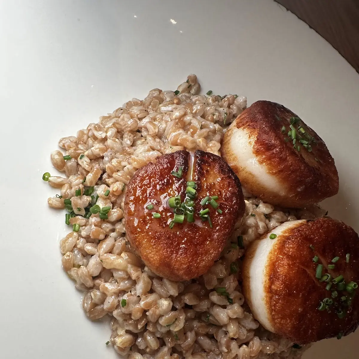 Pan Seared Scallops