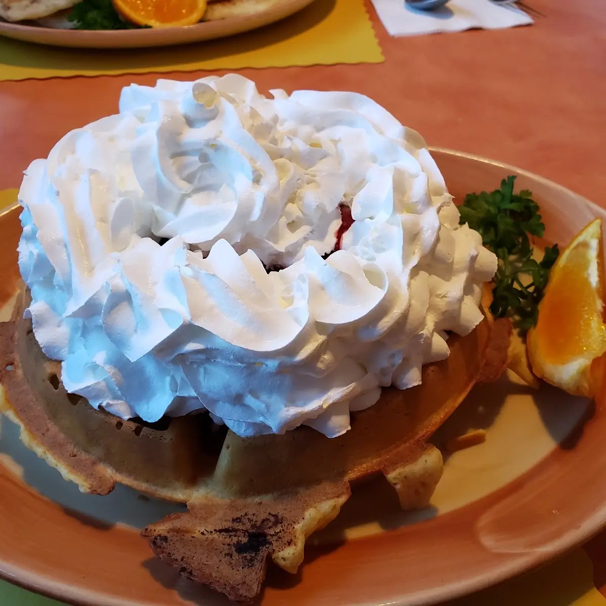 Chocolate Chip Waffle