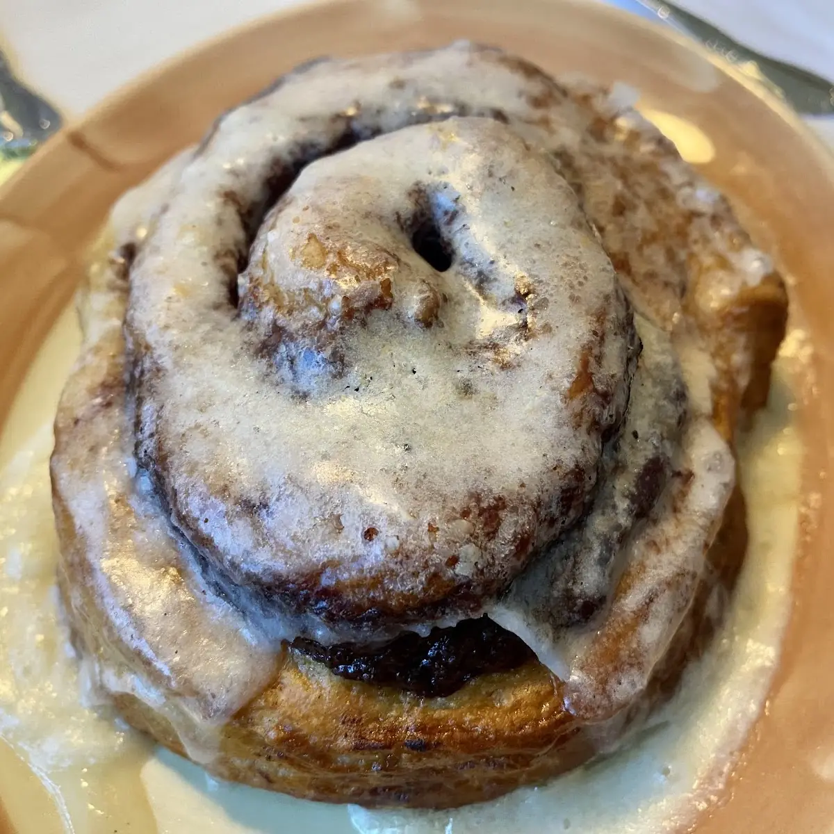 Cinnamon Roll