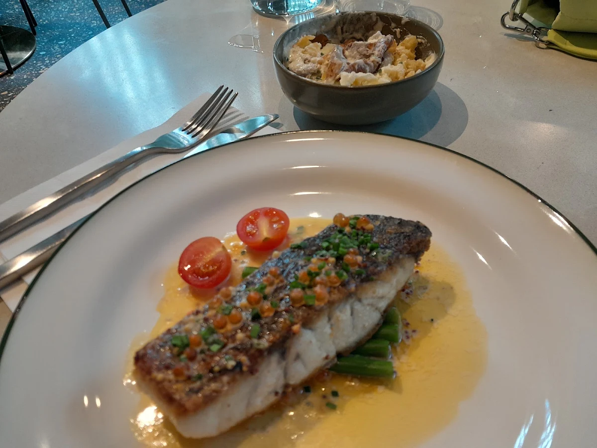 Fish, Gather