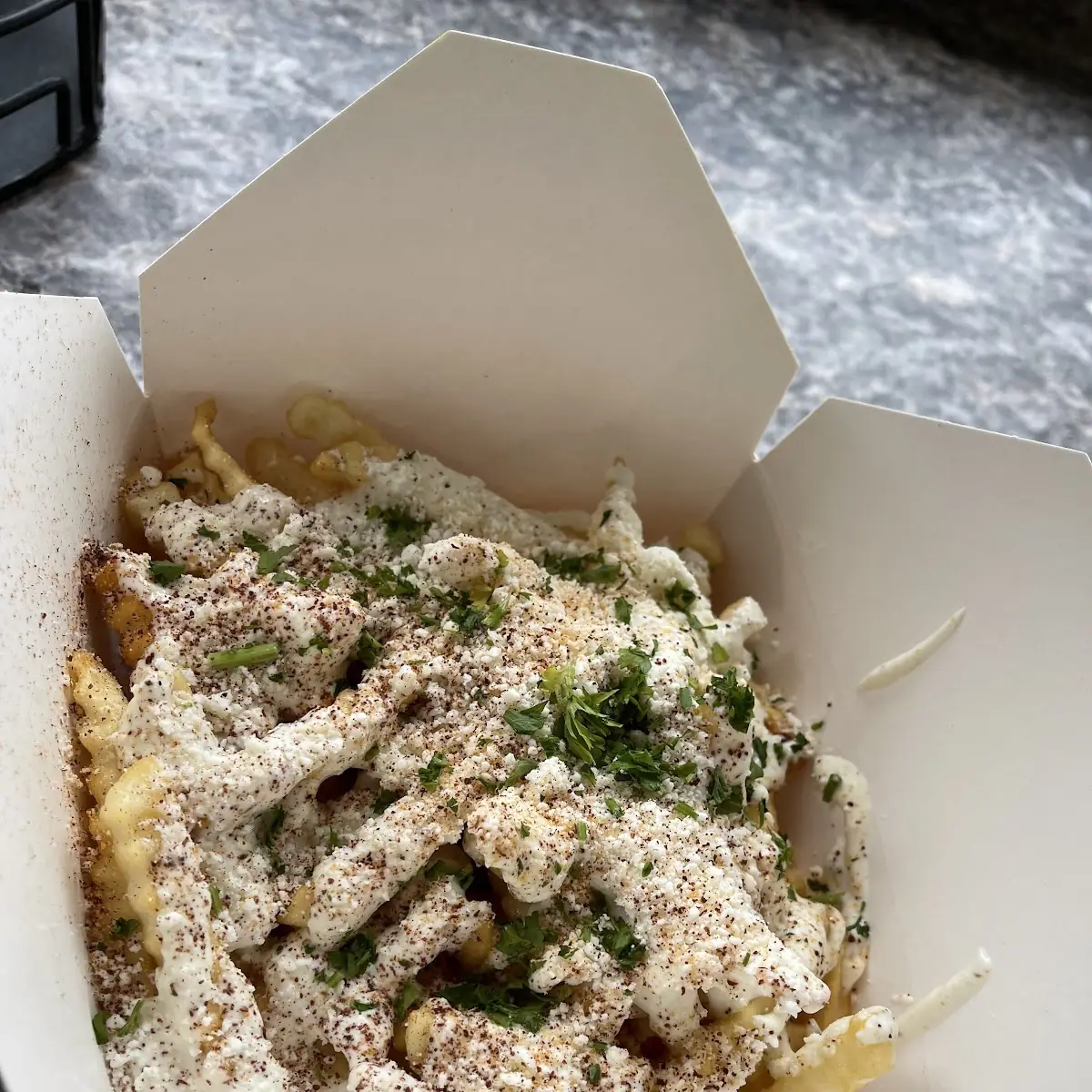 Carne Asada Fries