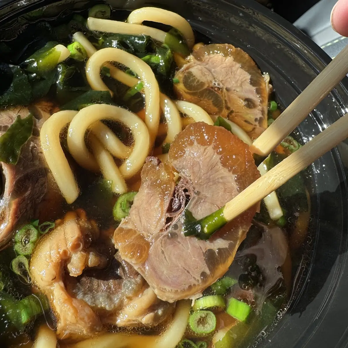 Niku Beef Udon Noodle