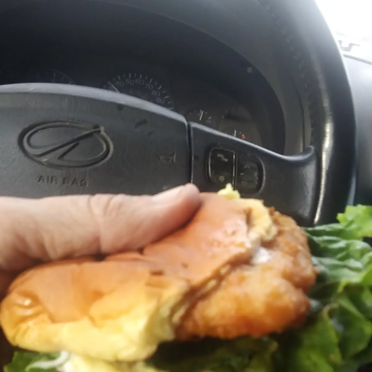 A Flat Fish Sandwich