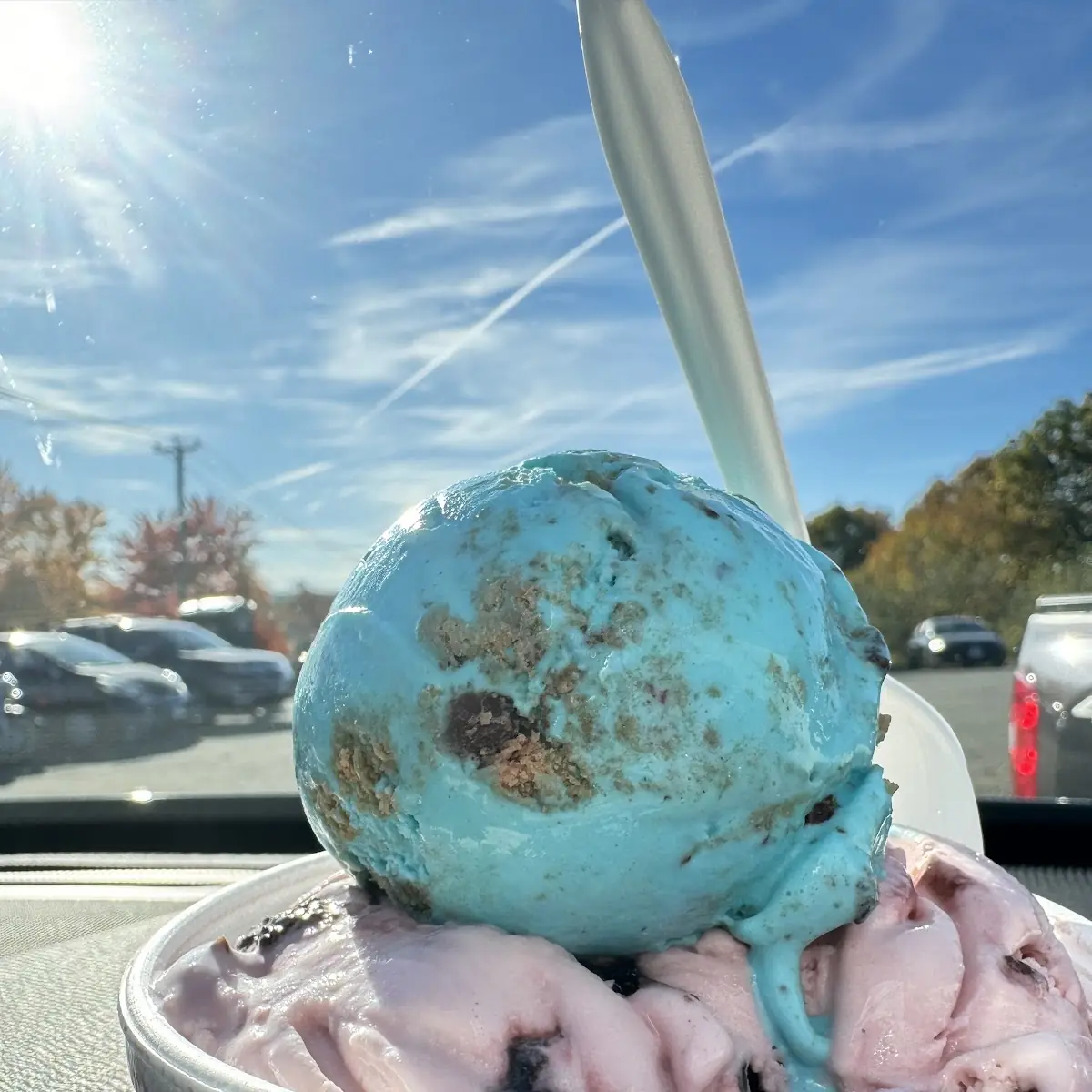 Cookie Monster and Black Cherry Vanilla Ice Cream