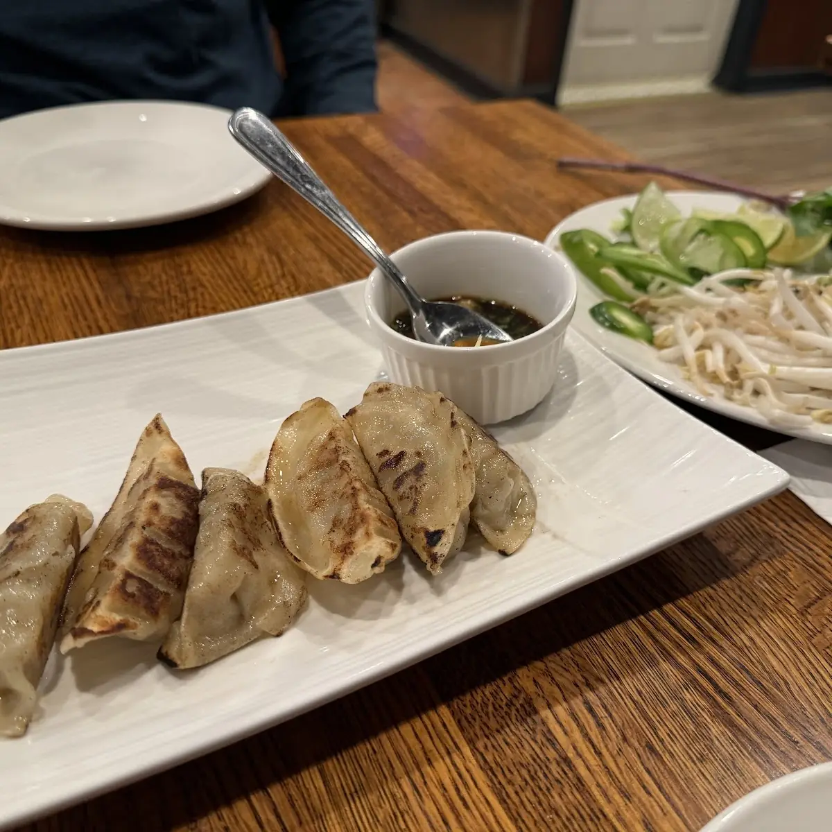 Pan Fried Dumplings