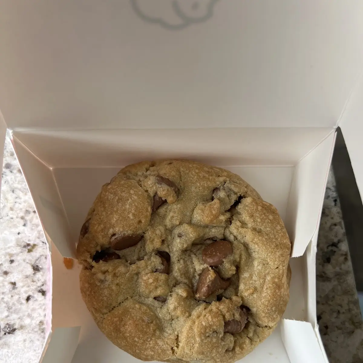 Chocolate Chip