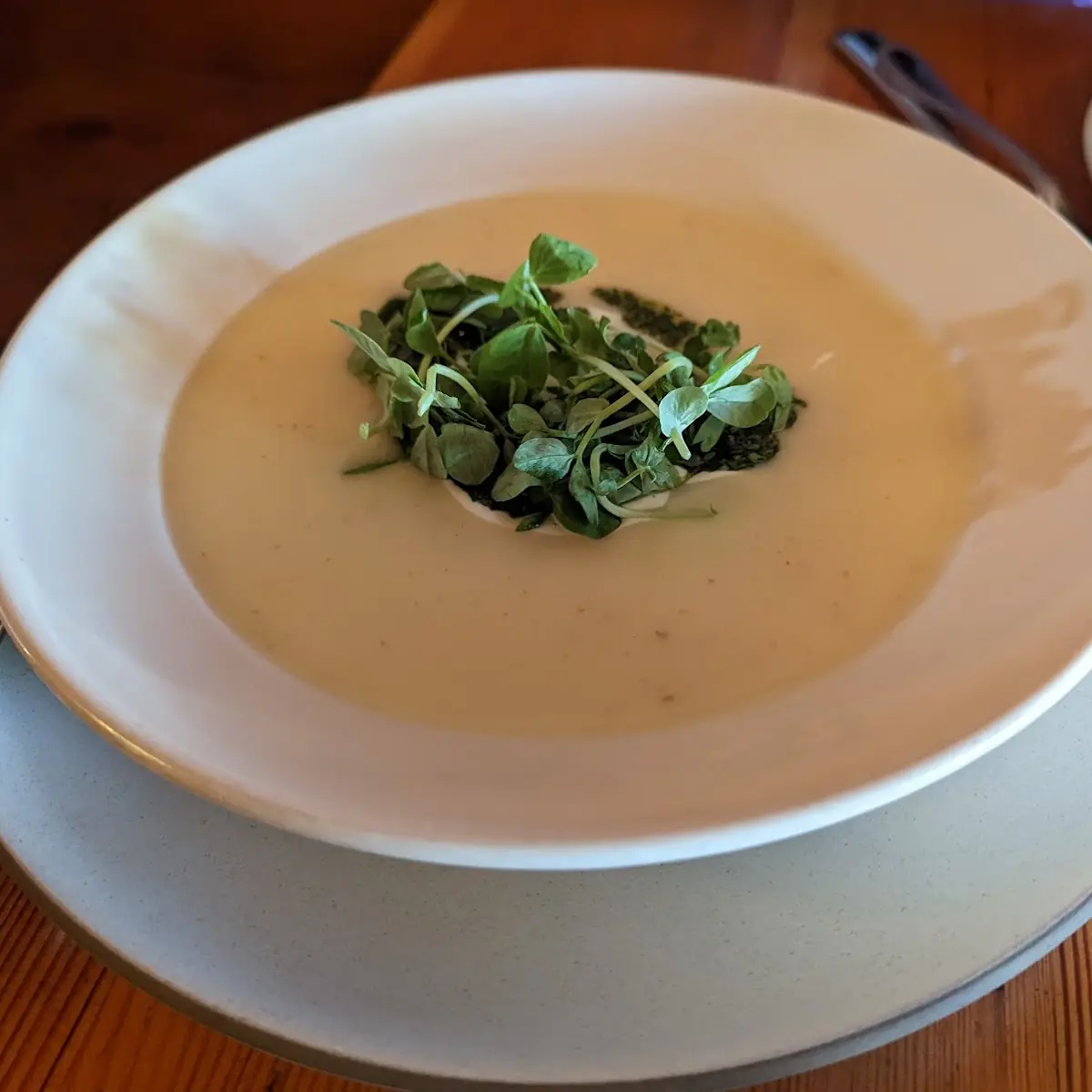Carrot soup