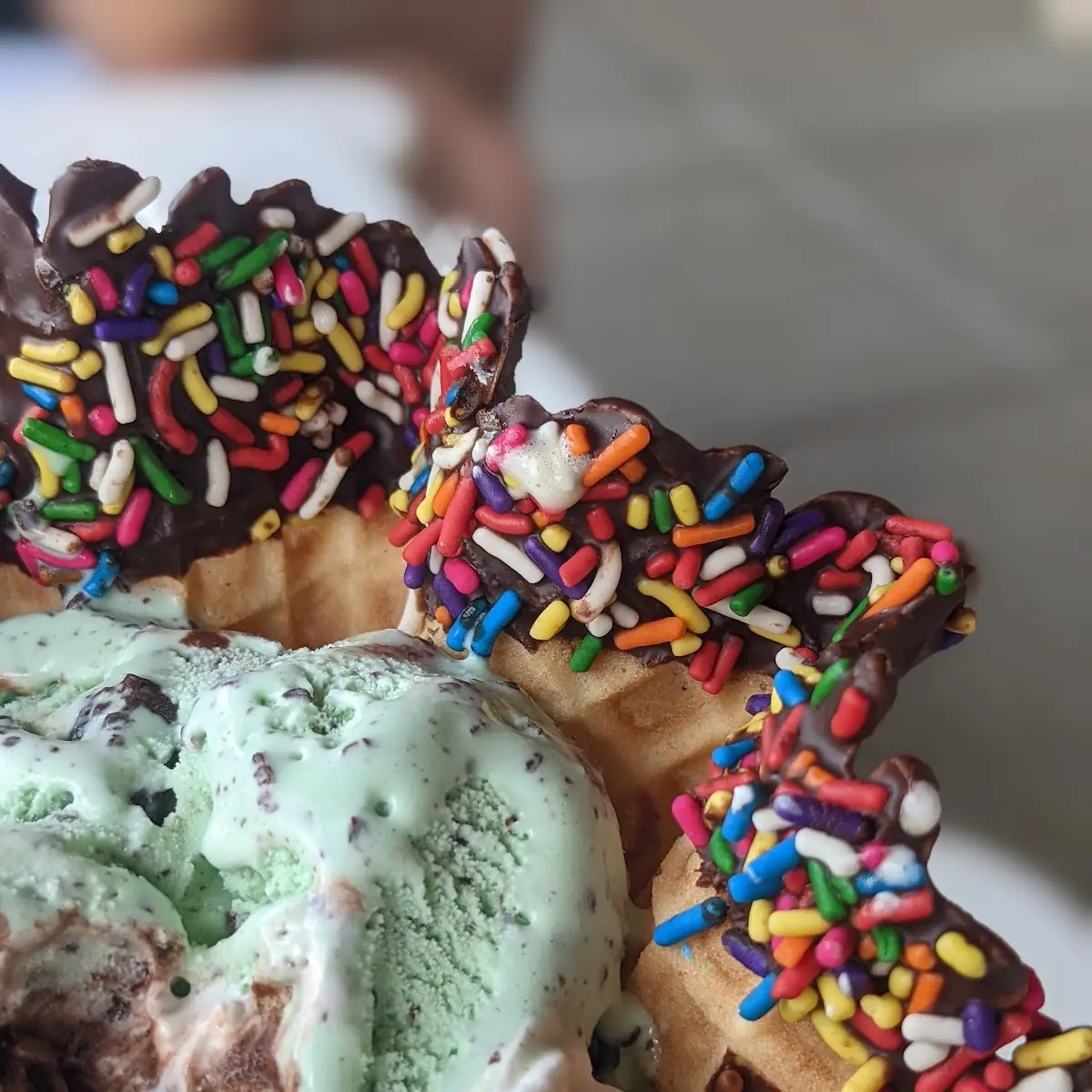 Mint Chocolate Chip in Chocolate and Sprinkle Waffle Bowl