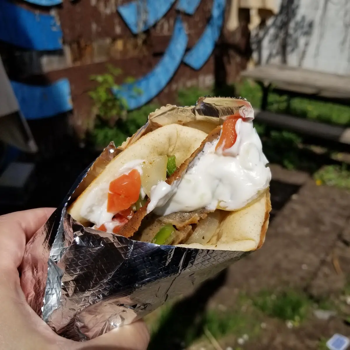 Gyro Sandwich