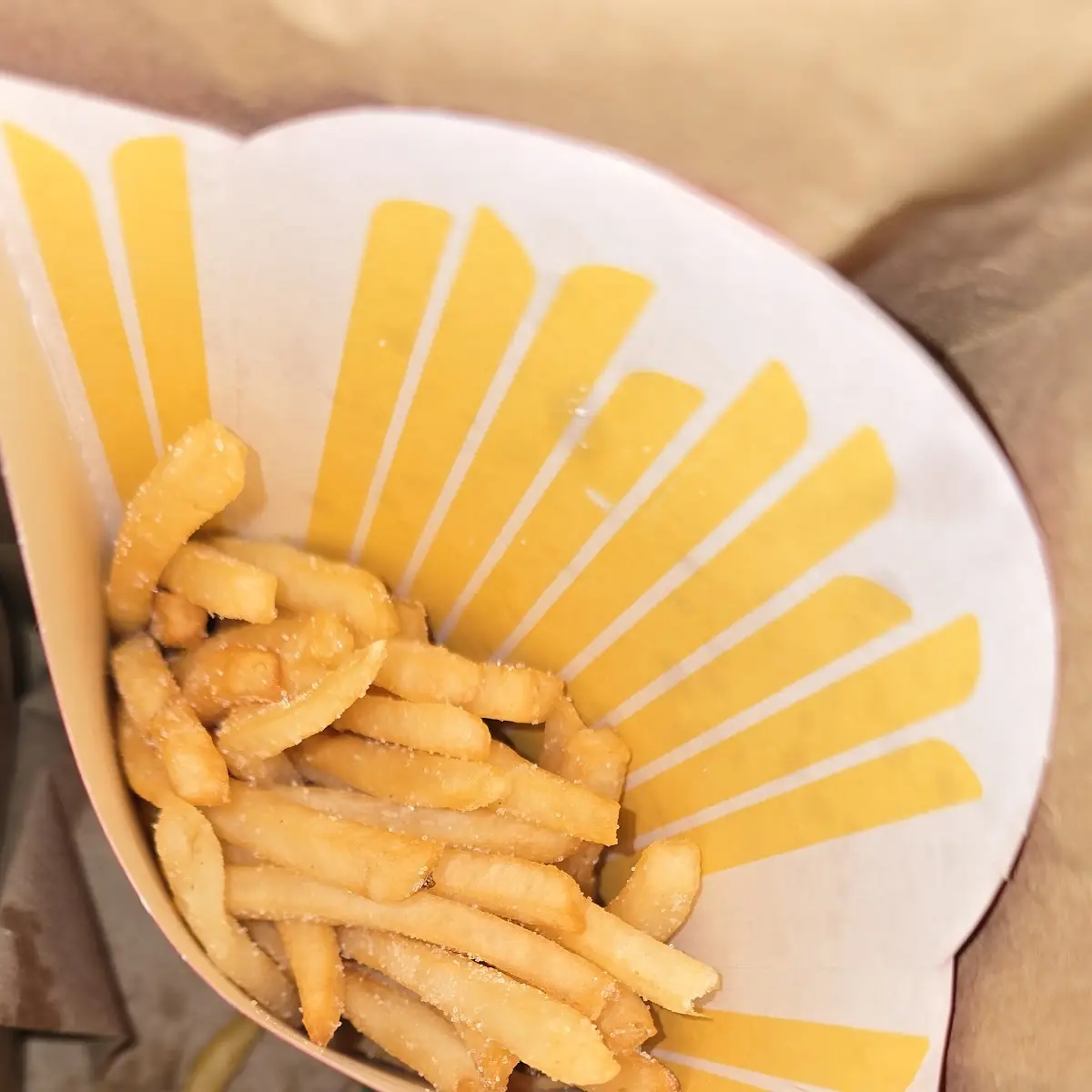 World Famous Fries