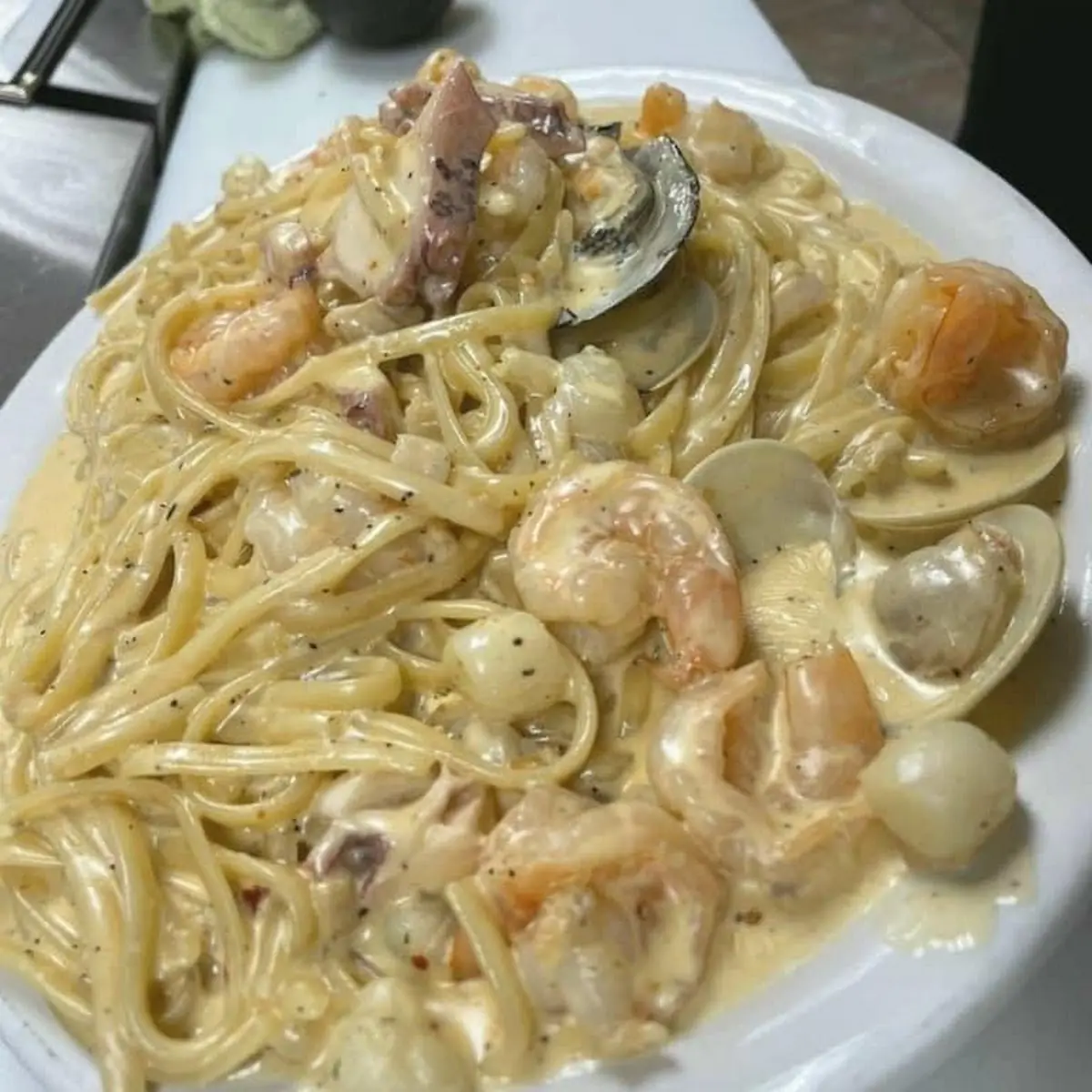 Shrimp Alfredo