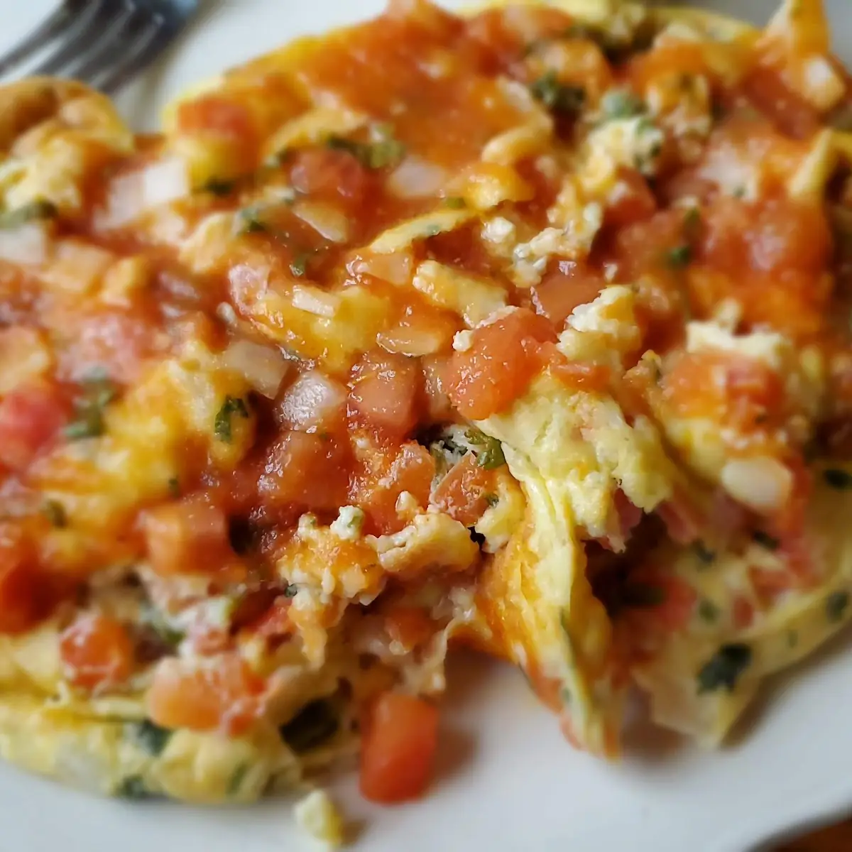 Santa Fe Omelette