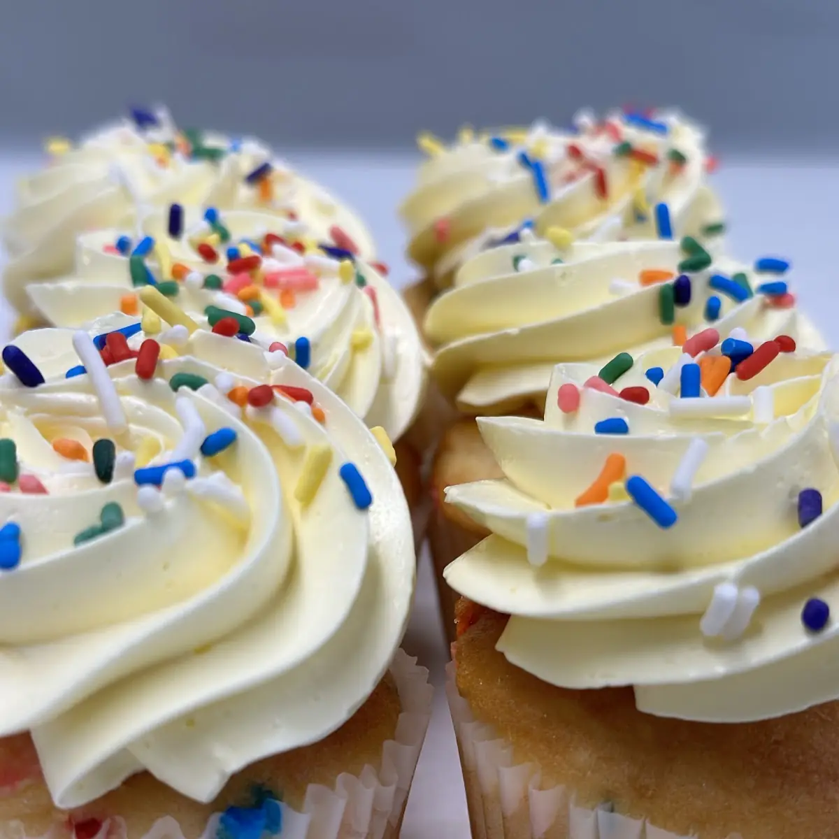 Confetti Cupcake