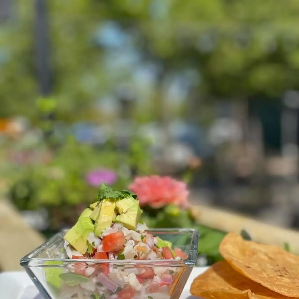 Shrimp Ceviche
