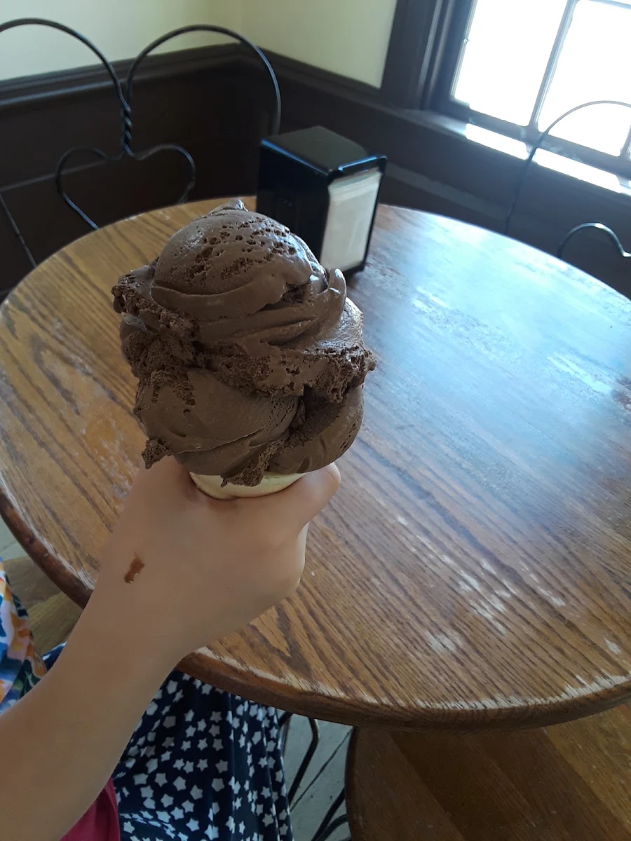 Double Chocolate Ice Cream