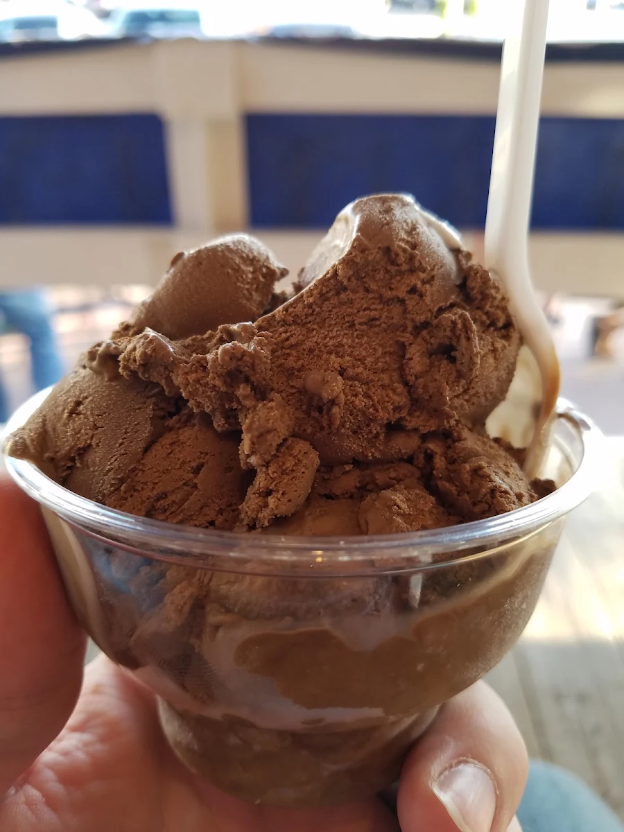 Double Dark Chocolate
