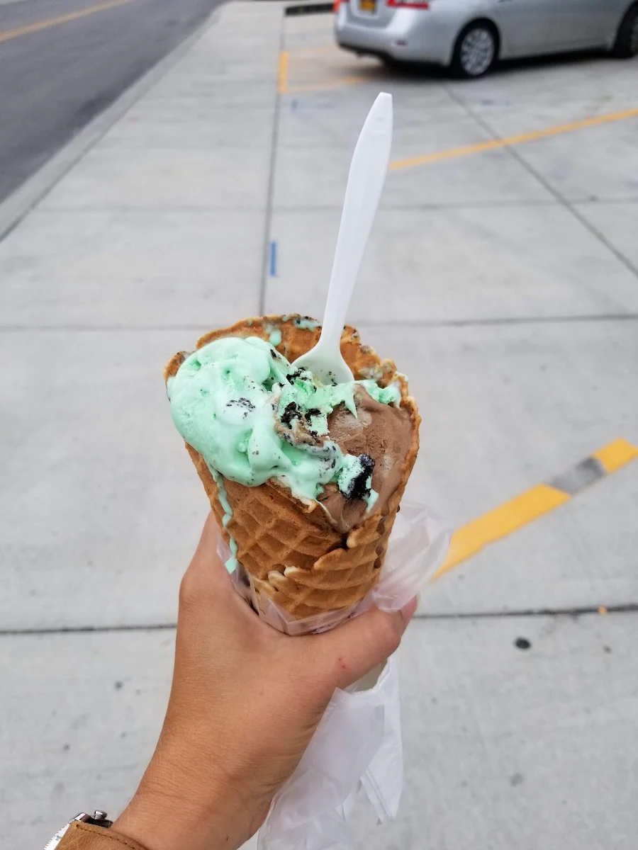 Mint Chocolate Chip