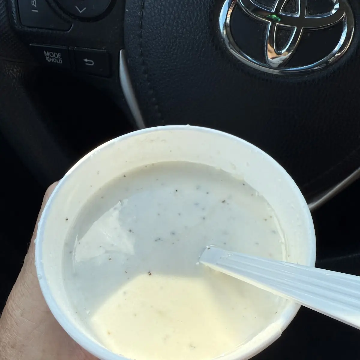 Potato Leek Soup