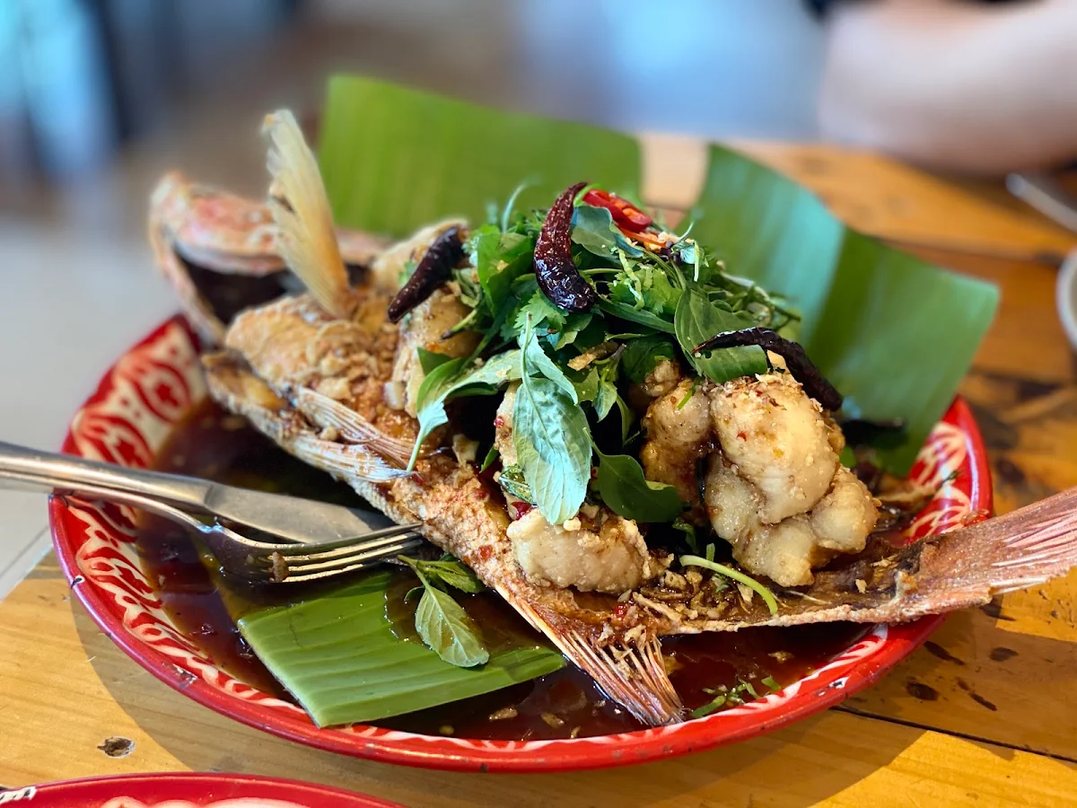 Whole Crispy Fried Market Fish, Samgasat Thai Cuisine