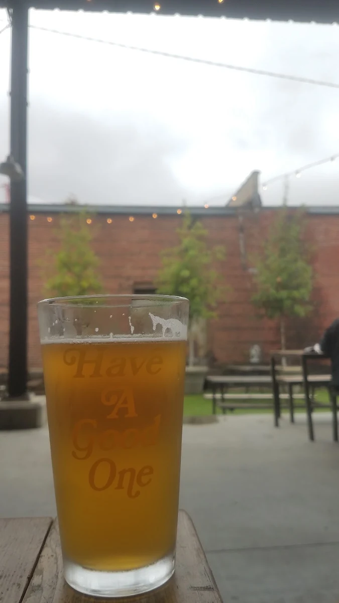 Juicy IPA