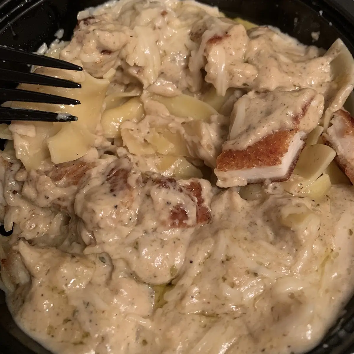 Chicken Alfredo