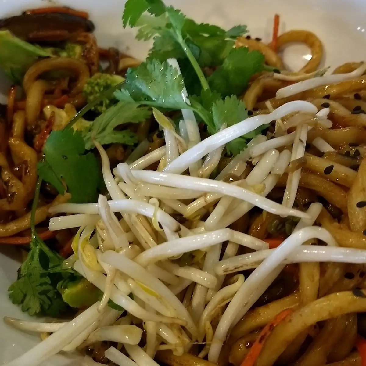 Japanese Pan Fried Noodles