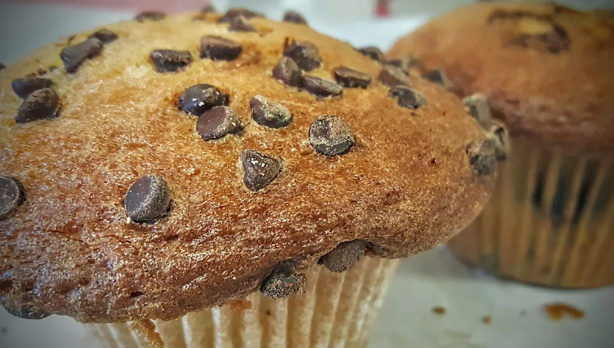 Chocolate Chip Muffin