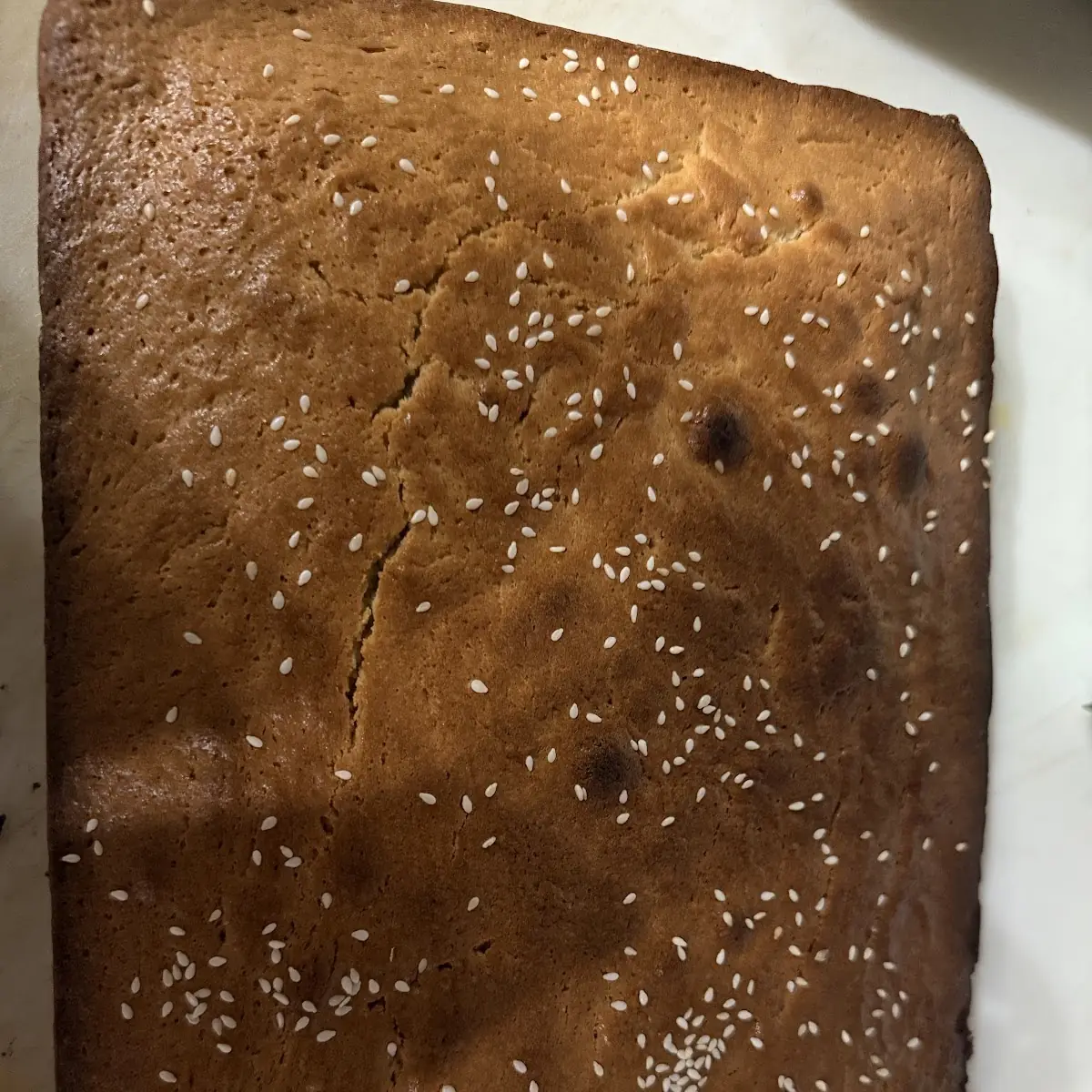 Chocolate Brownie