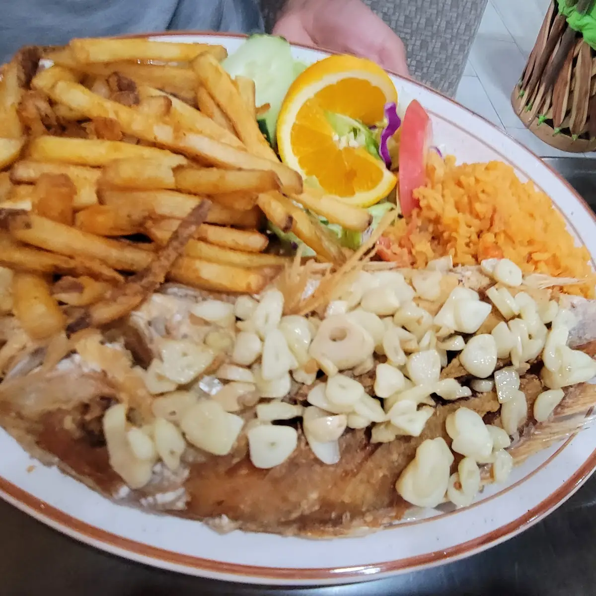 Red Snapper