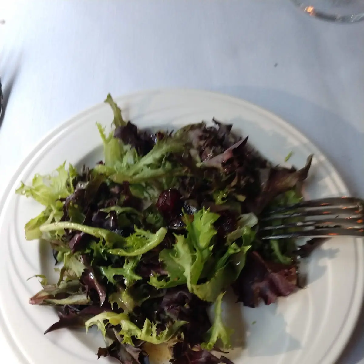 Fresh Green Salad
