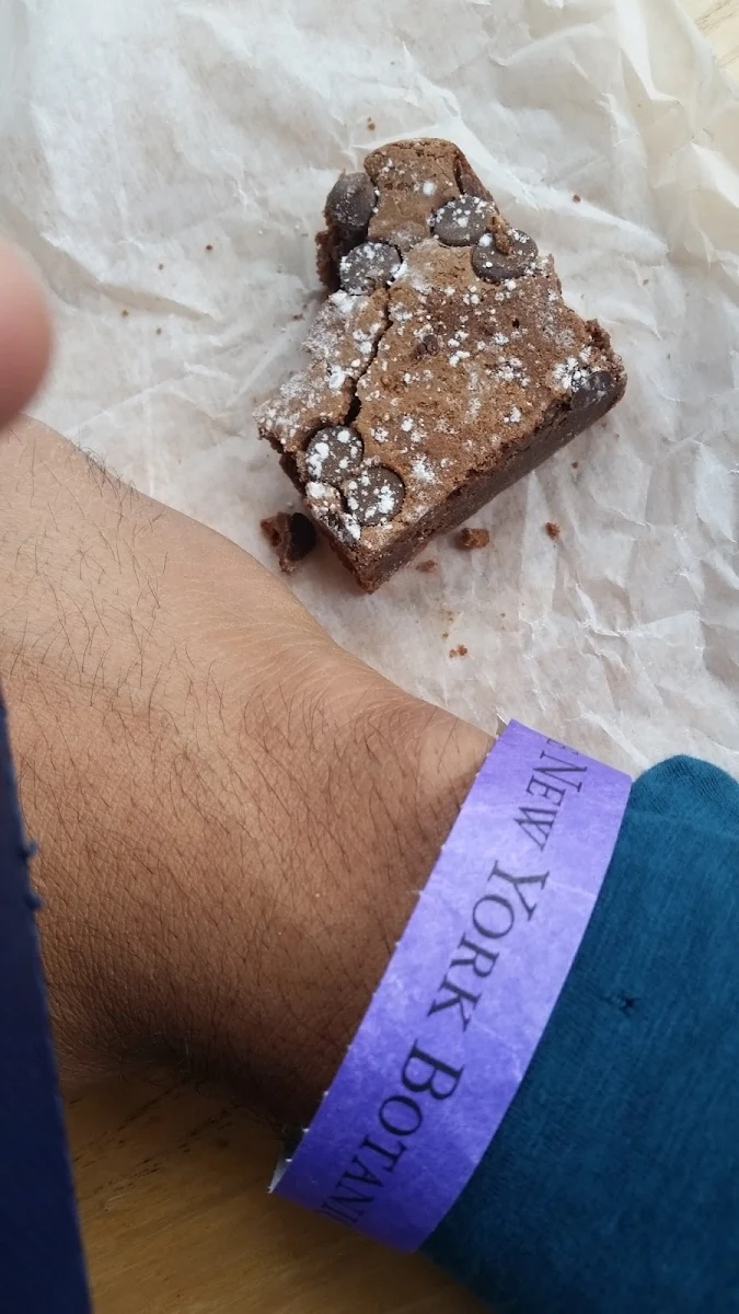 Chocolate Brownie