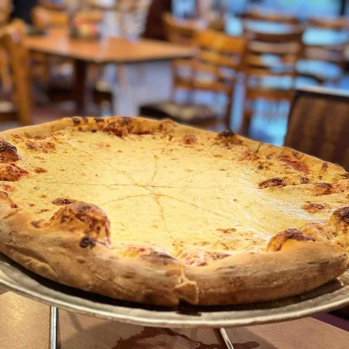 Extra Cheese Pizza