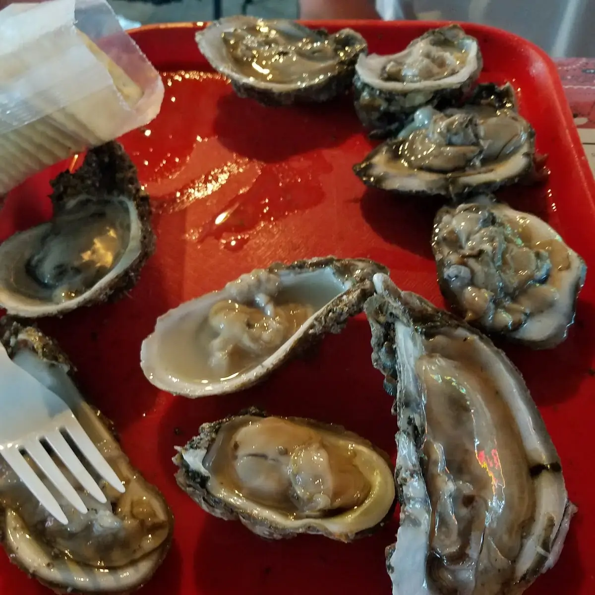 Fresh Oysters