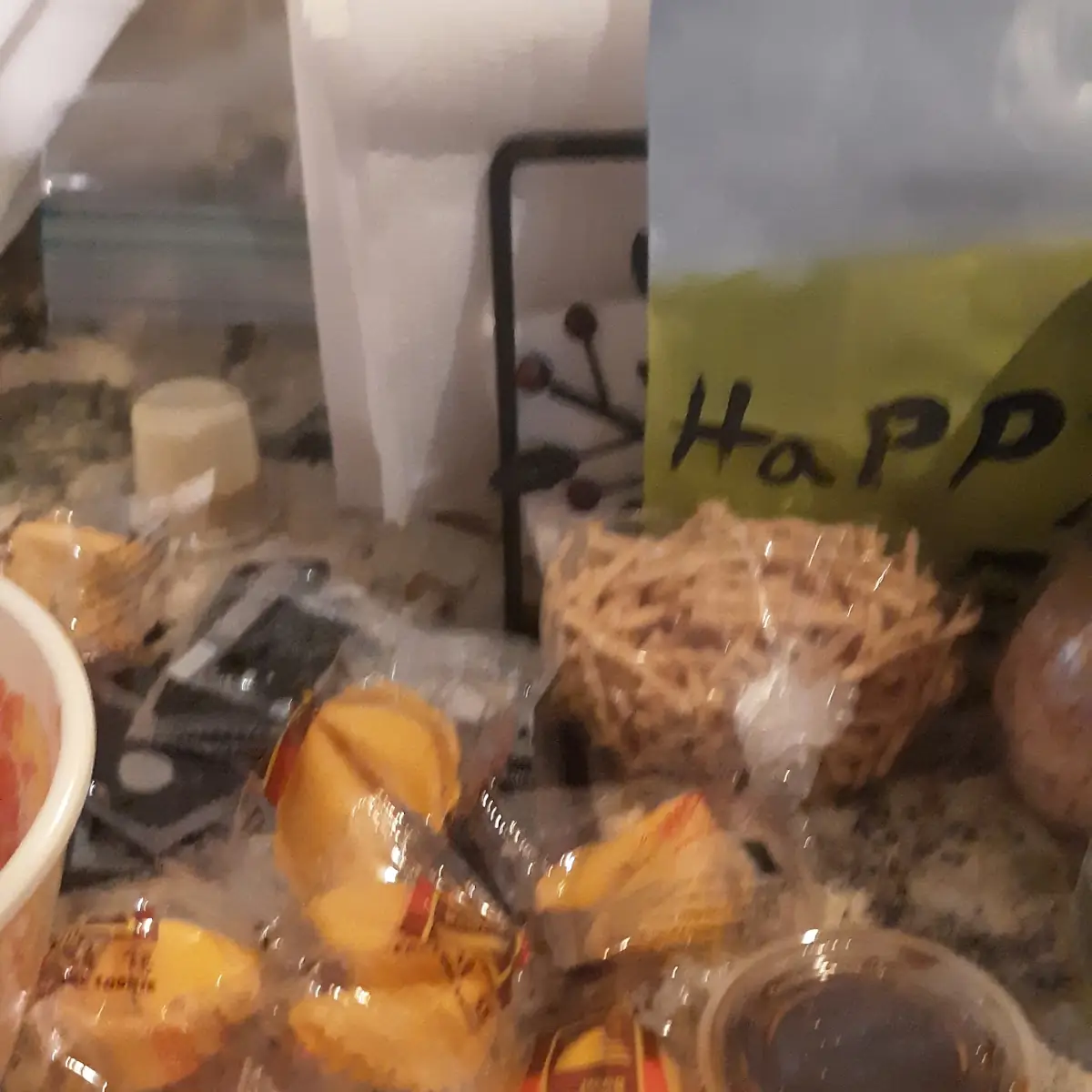 Sauces and Fortune Cookies with Soy Sauce