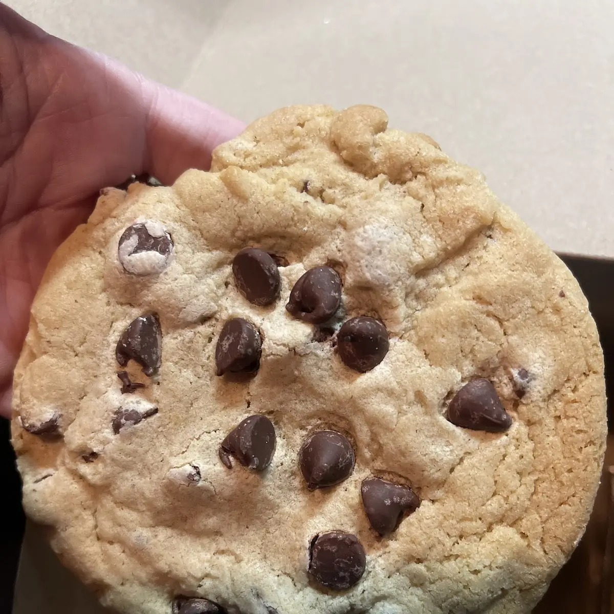Chocolate Chip