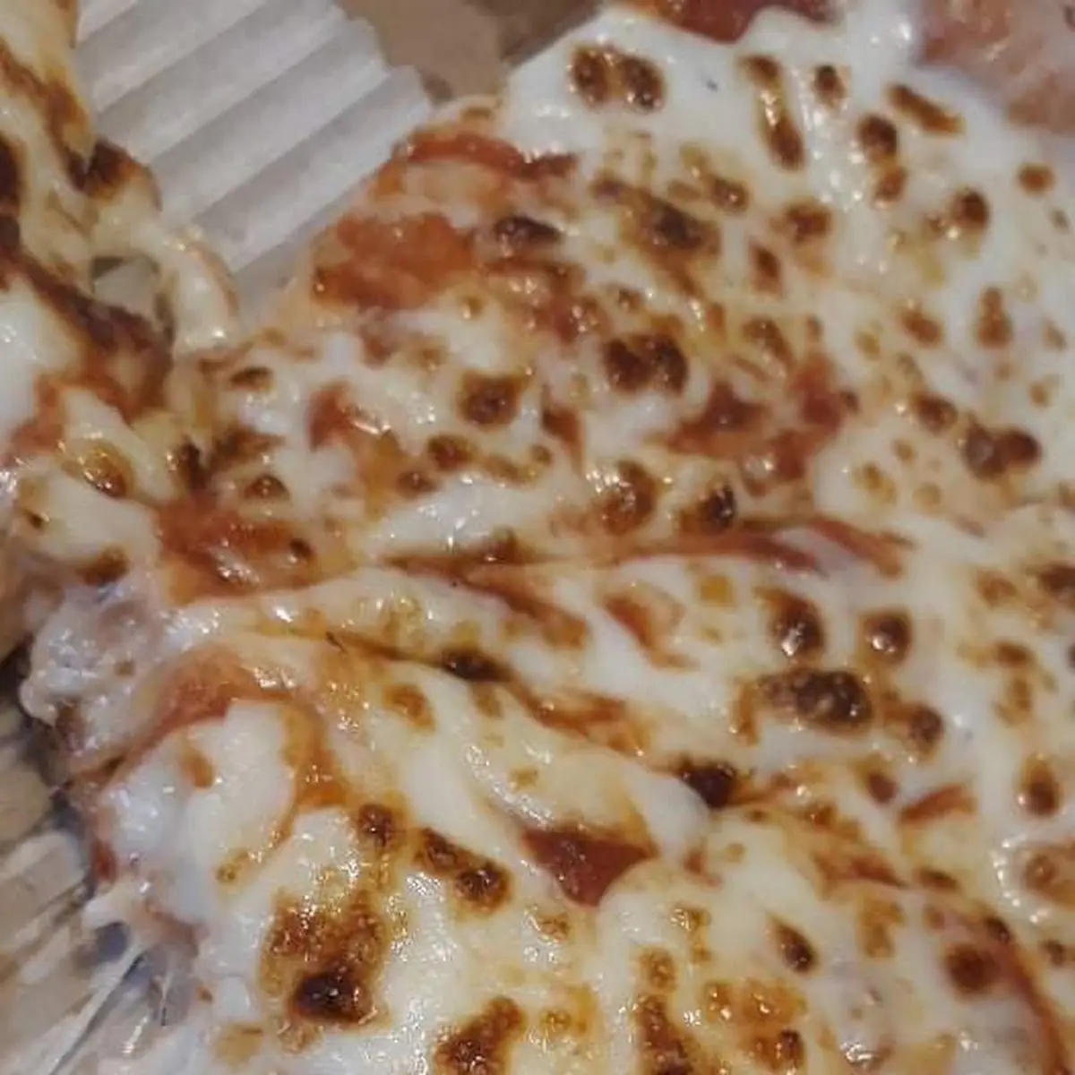 Extra Cheese Pizza