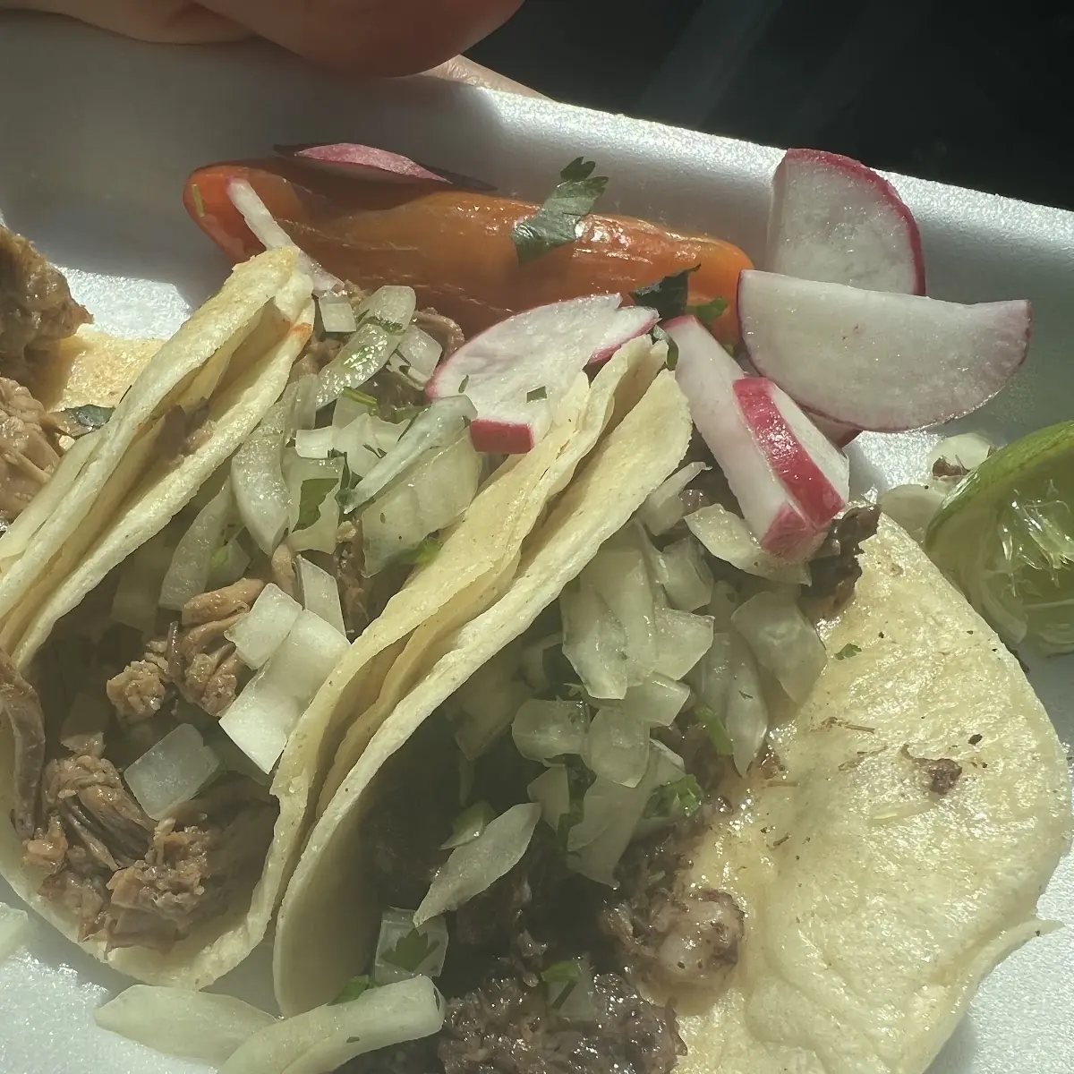 Cabeza and Barbacoa Tacos