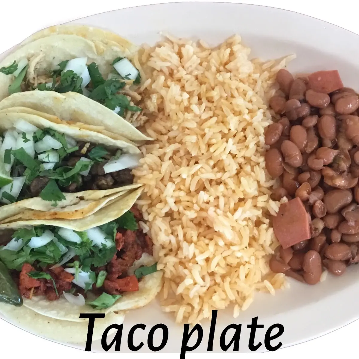 Carne Asada Asada Plate