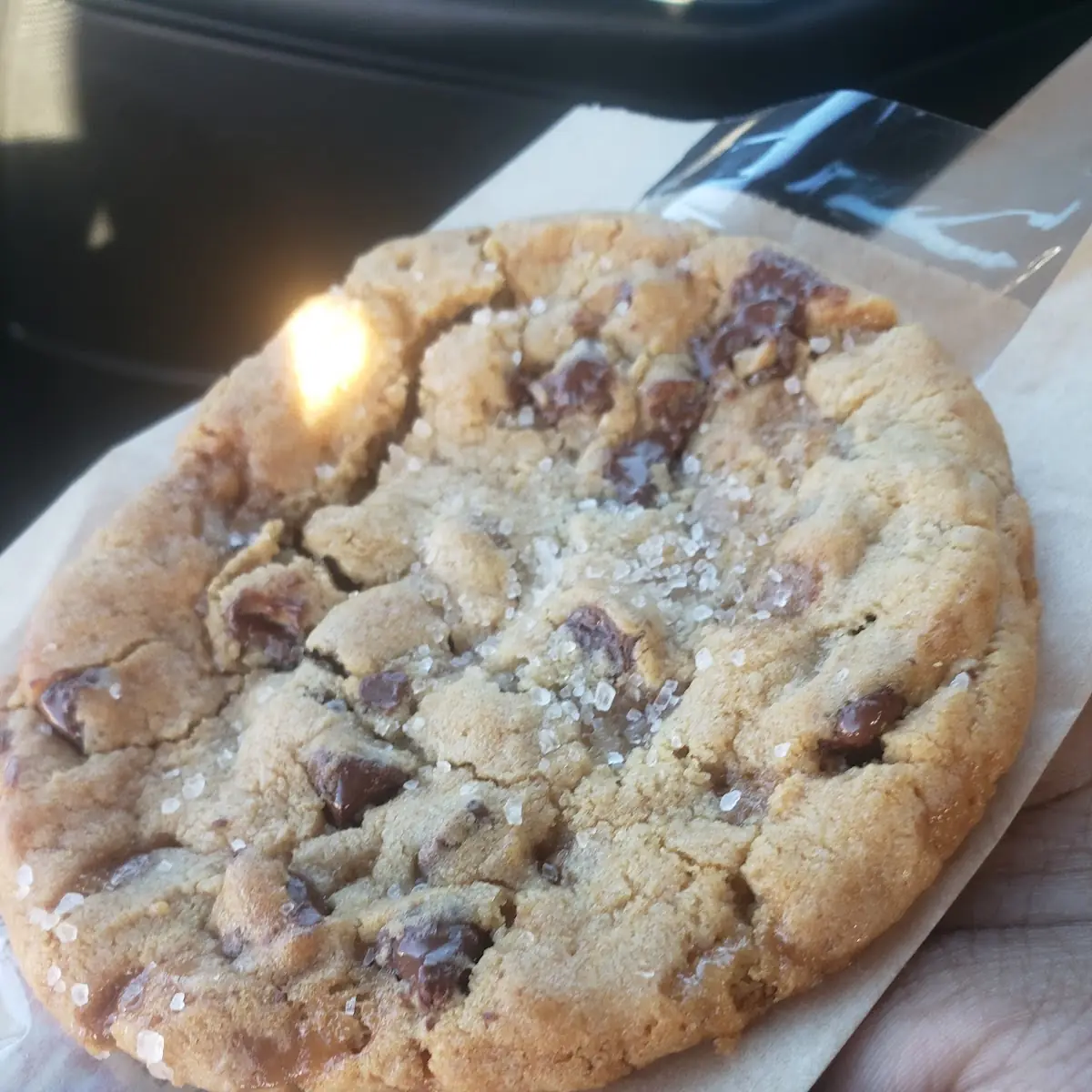 Chocolate Chip