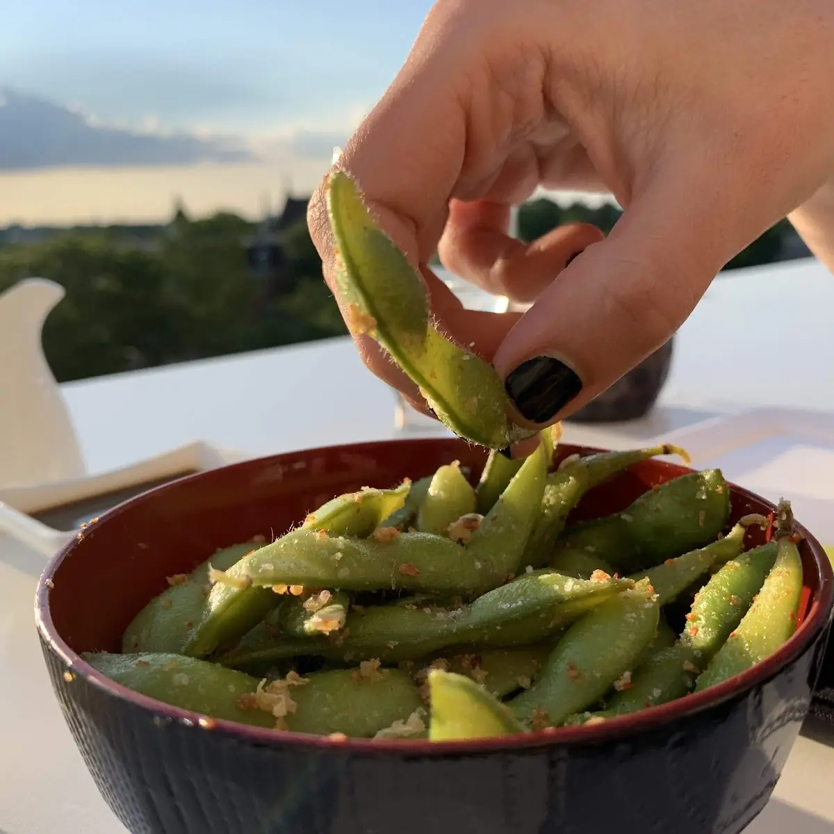 Scallions Snap Peas