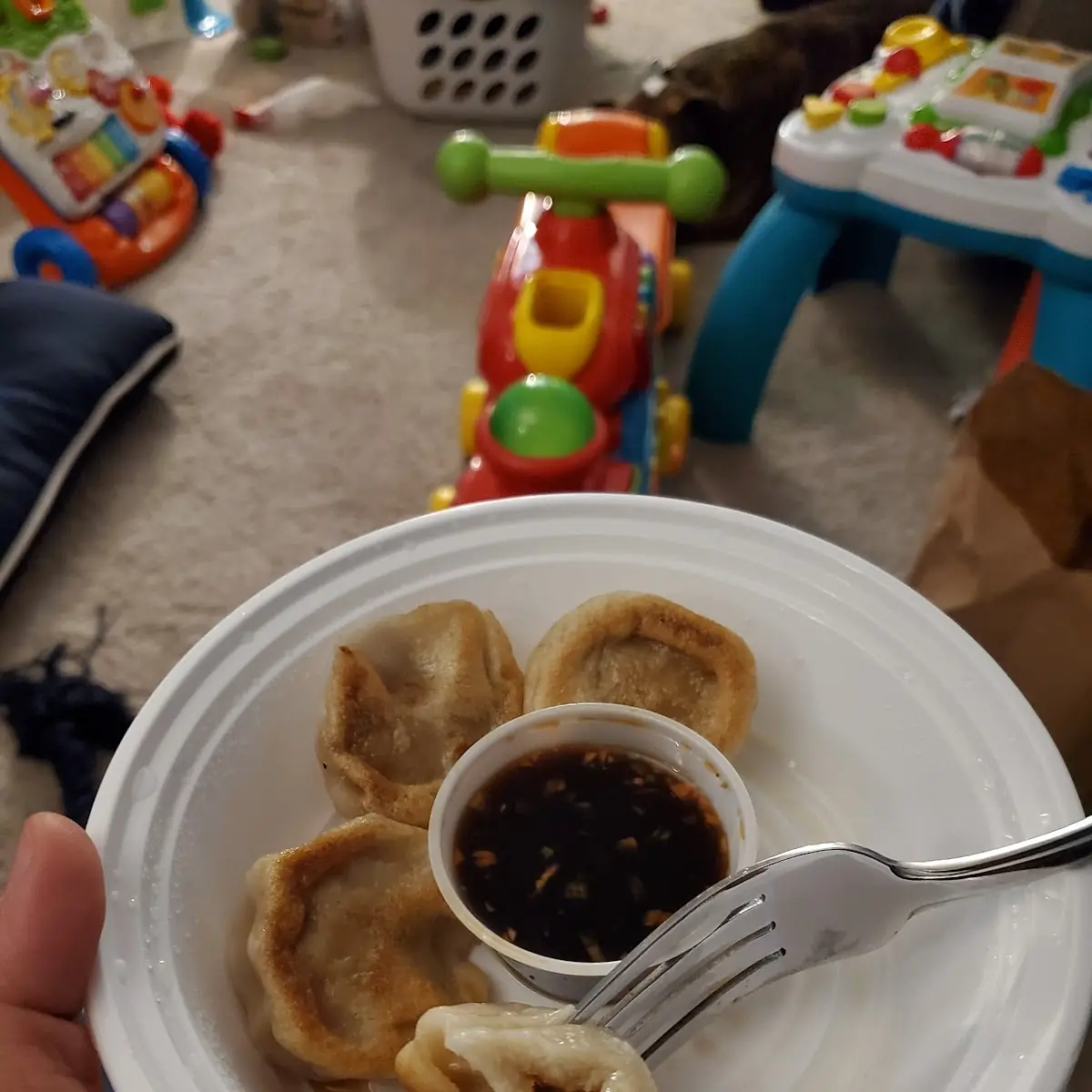 Fried Pork Dumplings