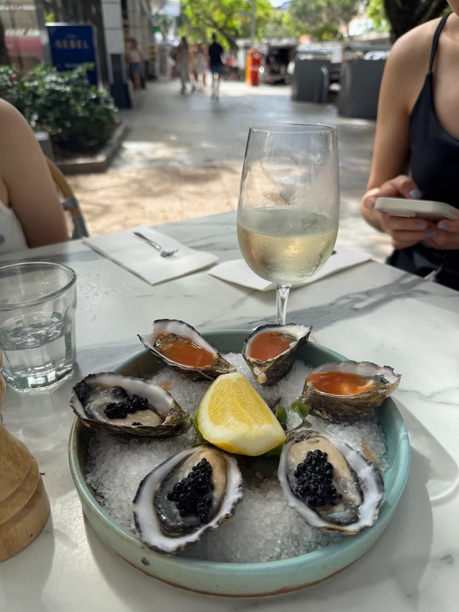 Oysters, Aromas Restaurant & Bar Noosa